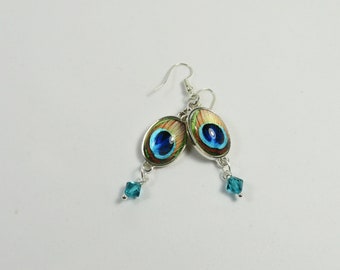 Feather earrings, feather jewelry, peacock earring, peacock feather earrings, dangle jewelry