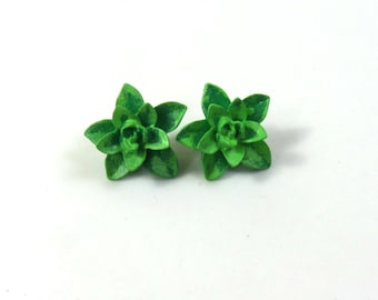 Suculentas tachuelas, pendientes suculentos, pendientes de flores verdes, pendientes de hoja perenne, joyas suculentas