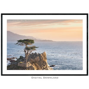 Lone Cypress Tree Printable Download | 17 Mile Drive California Landscape Print | Framable Sunset Photograph