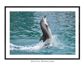 Dolphin Photograph | Dolphin Digital Print | Printable Download | Dolphin Decor | Jumping Dolphin Wall Art | Dolphin Print