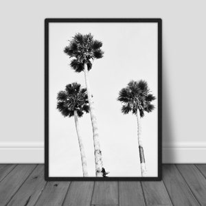 Palm Tree Print, Black And White Tropical Palms, Beach Wall Art, Palm Trees Download, Palm Wall Art, Tropical Wall Art, Palm Tree Poster