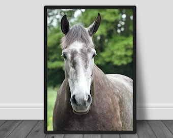 Irish Horse Portrait Print: Nursery Wall Art (Digital Download)