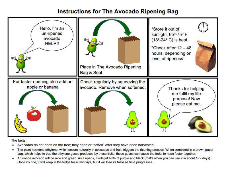 The Avocado Ripening Bag