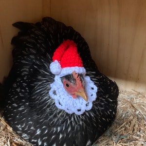 Chicken Santa Hat, Please check measurements and POSTAGE DETAILS