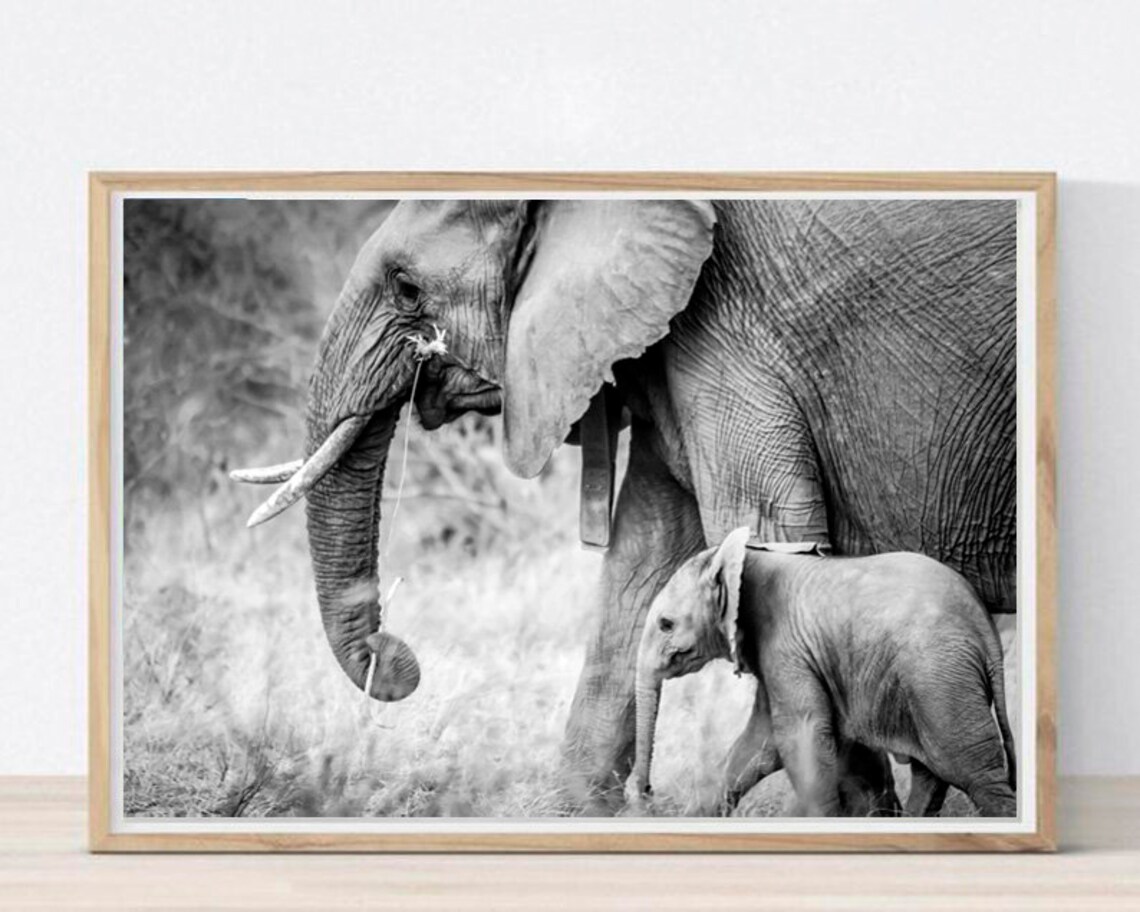 Elephants Printable Elephants Wall Art Black and White Art Etsy