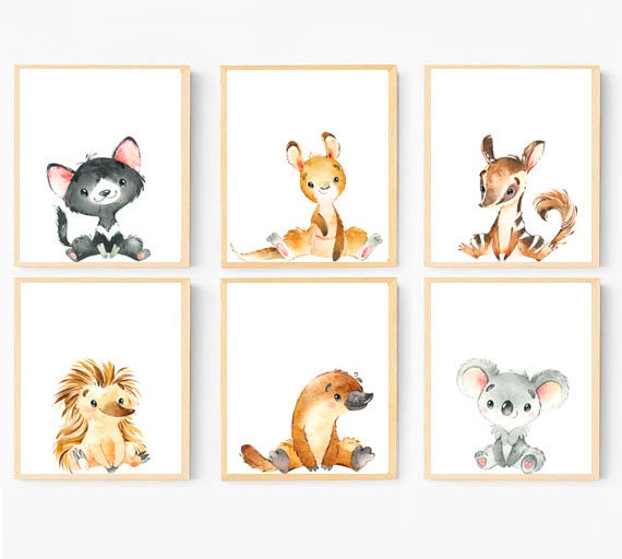 8x8/" Scrapbook Paper Australian Animal Themes Wombat /& Cockatoo