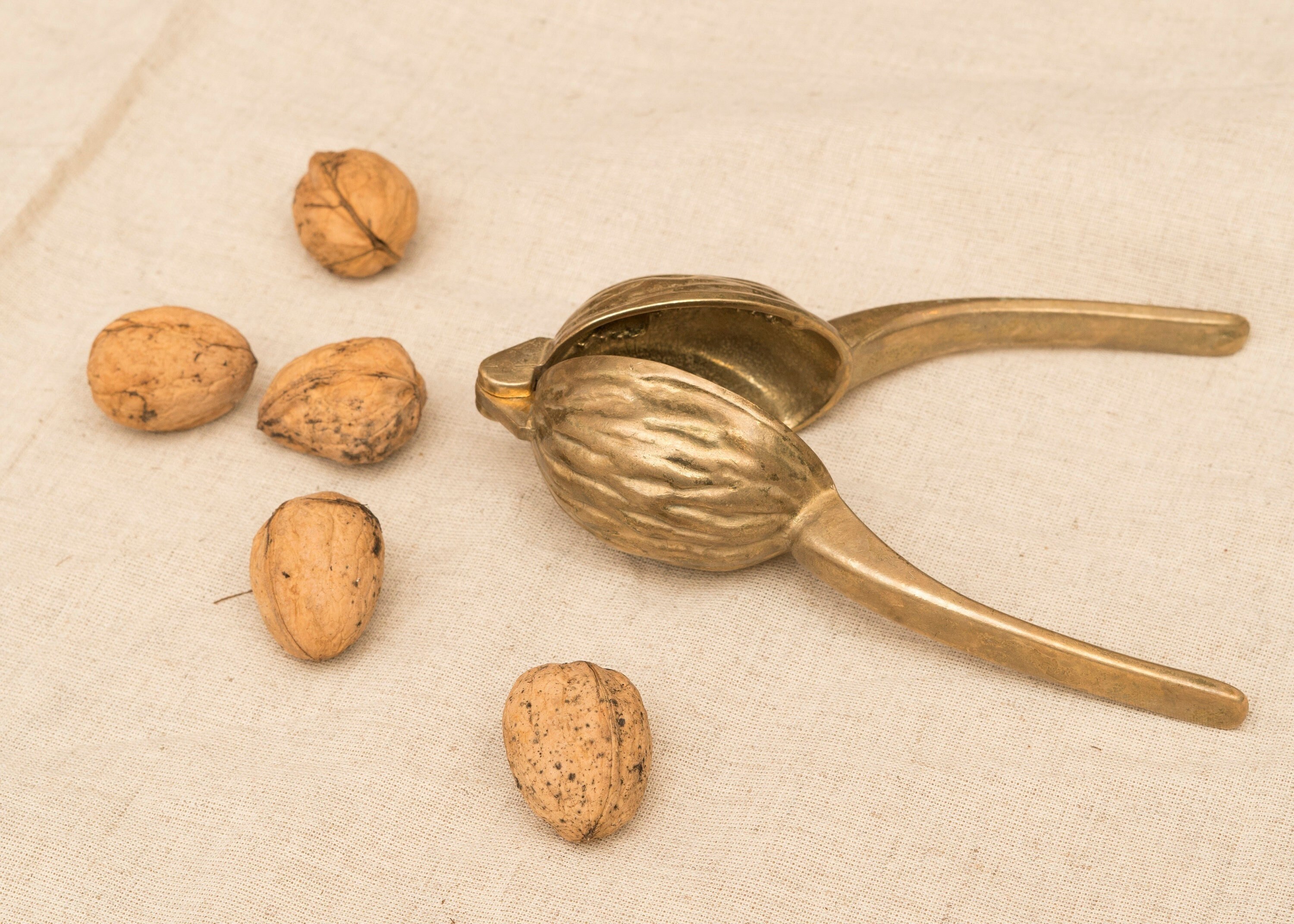 antique walnut cracker