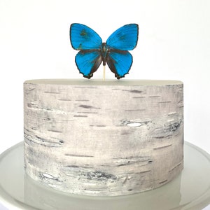 Rustic Gray Wood Edible Cake Wrap or Blue Butterfly Cake Topper