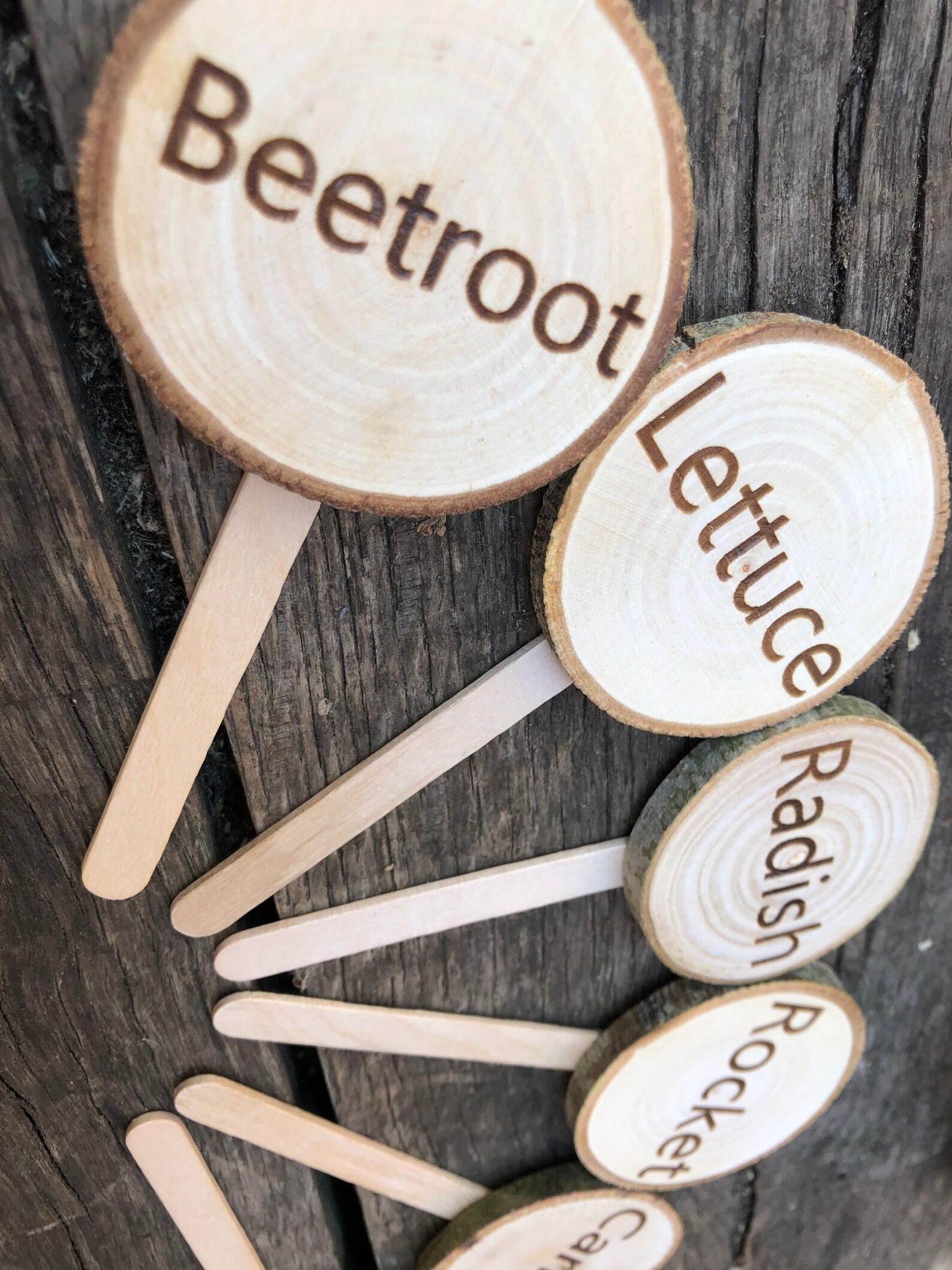 Garden Plant Signs Garden Markers for Seed Beds Vegetable Etsy UK