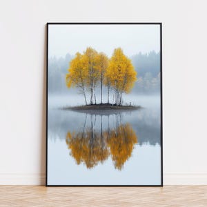 Betulle autunnali in Scandinavia, alberi autunnali Finlandia, regalo Finlandia, decorazione murale Norvegia, ricordo di viaggio Svezia