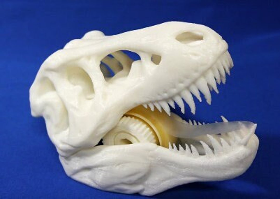 Dinosaur Tape Dispenser Unique Prehistoric Trex Jurassic Cute Dino