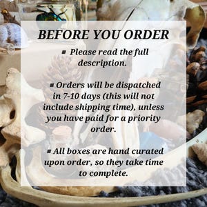 Oddity Mystery Box | Taxidermy Bones Skulls Oddities Curios Antique Vintage Starter Kit Vulture Culture Witchy Whimsy Treasure image 2