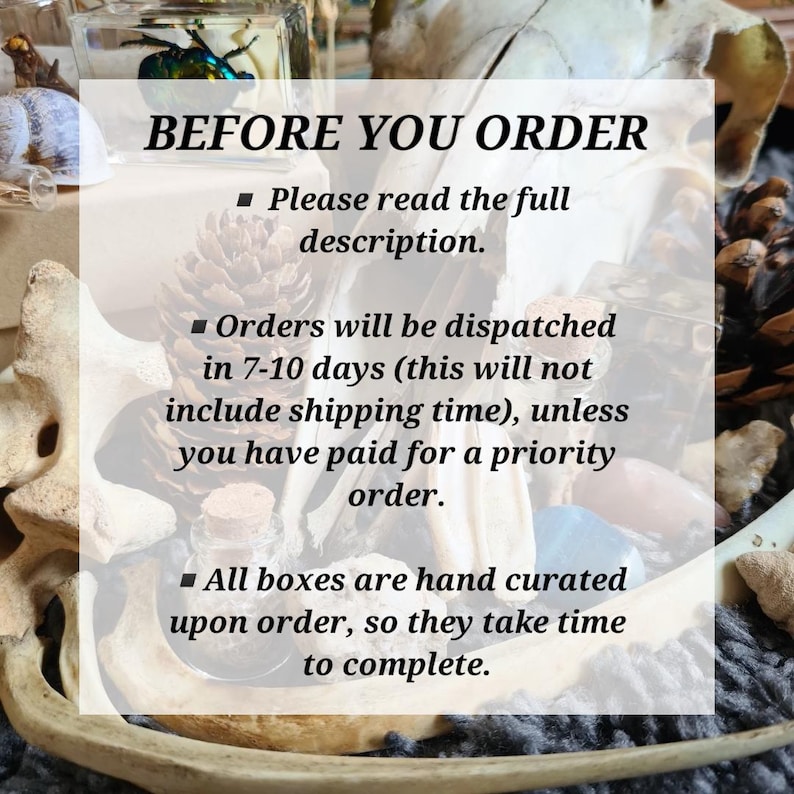 Oddity Mystery Box | Taxidermy Bones Skulls Oddities Curios Antique Vintage Starter Kit Vulture Culture Witchy Whimsy Treasure image 2