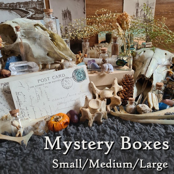 Oddity Mystery Box | Taxidermy Bones Skulls Oddities Curios Antique Vintage Starter Kit Vulture Culture Witchy Whimsy Treasure