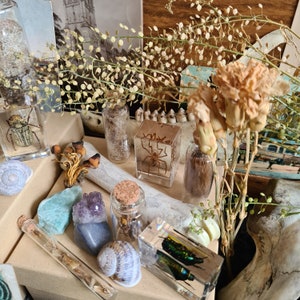 May include: A collection of natural curiosities, including insects encased in clear resin blocks, dried flowers, seashells, and crystals. The arrangement features a variety of textures and colors, with a focus on organic forms and earthy tones. The items are displayed on a neutral surface.