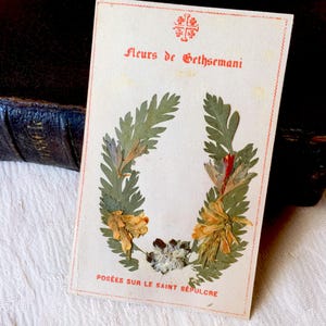 Image pieuse Jésus vintage Gethsemani, carte religieuse Fleurs posées sur le St Sépulcre, carte herbier Jérusalem, carte souvenir pèlerinage