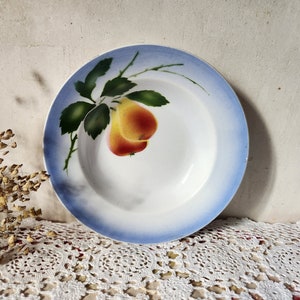 Vintage Villeroy and Boch Wallerfangen Saar Pear Decorated Wide Blue Rim Hollow Plate