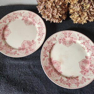 Peut inclure: Deux assiettes en céramique blanc cassé avec un motif floral rose. Les assiettes ont une bordure florale rose et un motif central de fleurs et de feuilles roses. Elles sont posées sur une surface gris foncé.