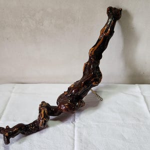 May include: A decorative, natural wood sculpture with a dark brown, polished finish. The piece has a unique, organic shape with multiple curves and knots, and is mounted on a metal stand. The wood grain is visible.
