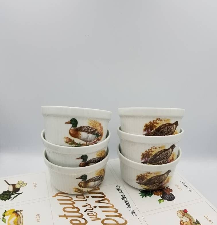 Vintage Français 6 Digoin Sarreguemines Porcelaine A Feu/ Cuire Ramequin Plats avec Game Bird Photos