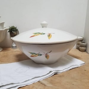 Sopera de sopa francesa Art Déco vintage: Digoin Sarreguemines Nemours Faience