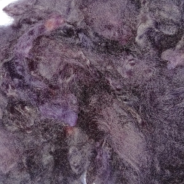 Concord Grape. Hand dyed Romney fleece. A beautiful dark blackish purple for spinning felting weaving crafting etc.