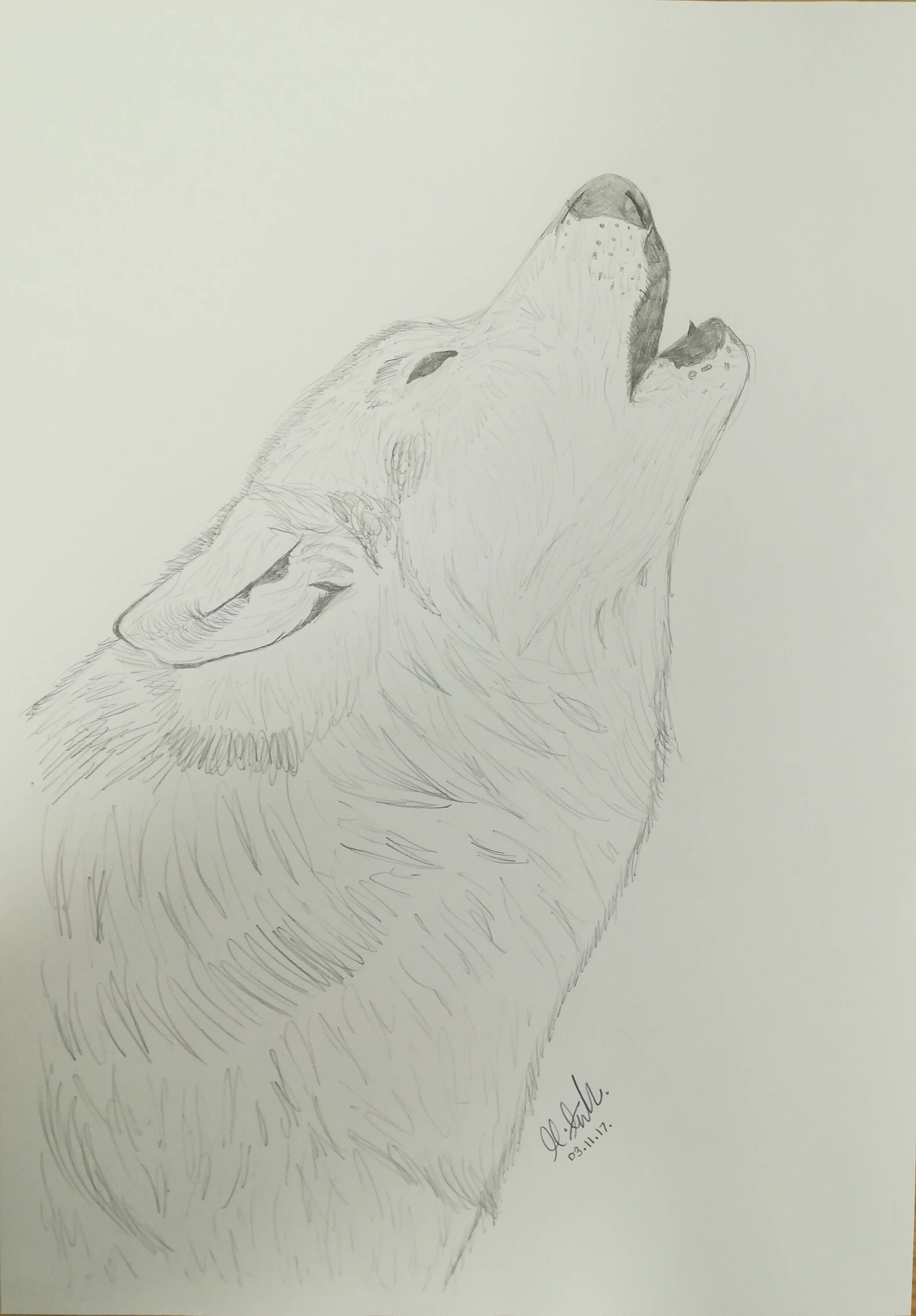 simple howling wolf drawing