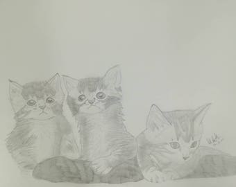 Stay Curious Poster  Etsy