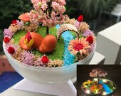 Grasslands Pokemon Terrarium