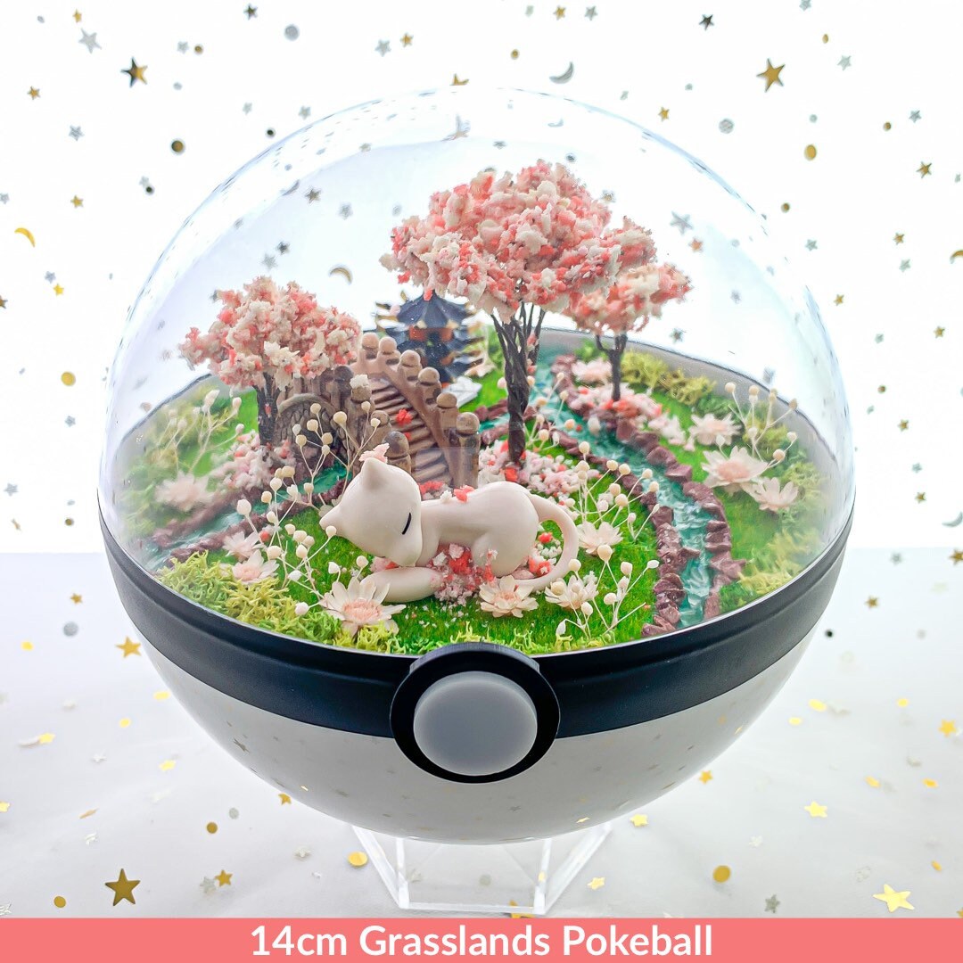 Pokemon terrarium cheap