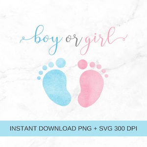 Fichier PNG empreinte sexe révéler il ou elle, garçon ou fille, sexe révéler, petite citrouille rose et bleu Téléchargements instantanés