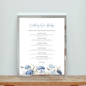 Può includere: Un cartello incorniciato con la scritta "Visiting Our Baby" in blu. Il cartello include linee guida per i visitatori, come niente baci e niente profumi forti, con illustrazioni floreali e di farfalle in basso.