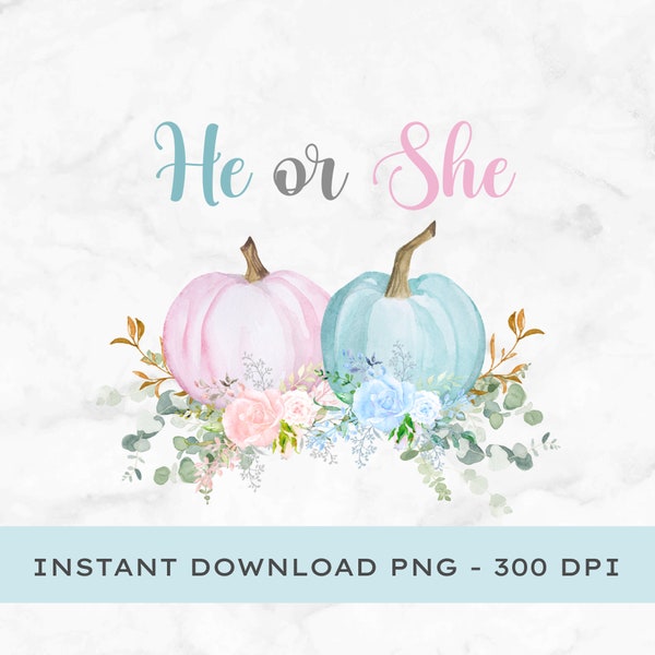 Pumpkin Gender Reveal He or She PNG file, Boy or Girl, Gender Reveal,  little pumpkin pink and blue Instant Downloads