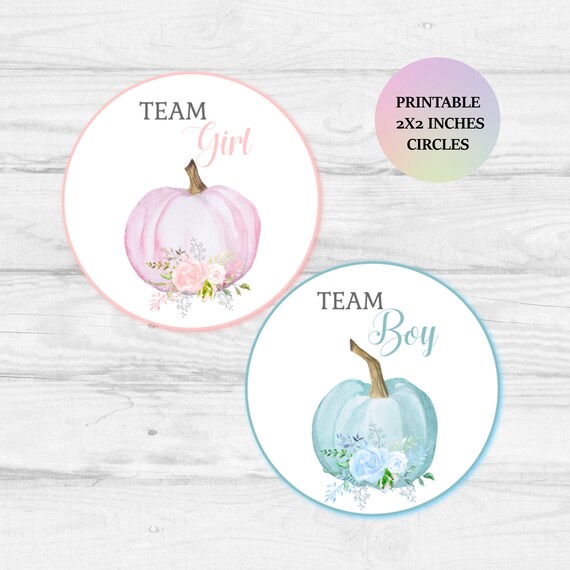 Pumpkn Gender Reveal Party Bundle, Fall Pumpkn Gender Reveal