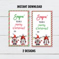 Printable Hand Soap Gift Tag - Digital 2 Different Designs, Soap'n you have a Merry Christmas, Gnomes tag, christmas card, holiday tag