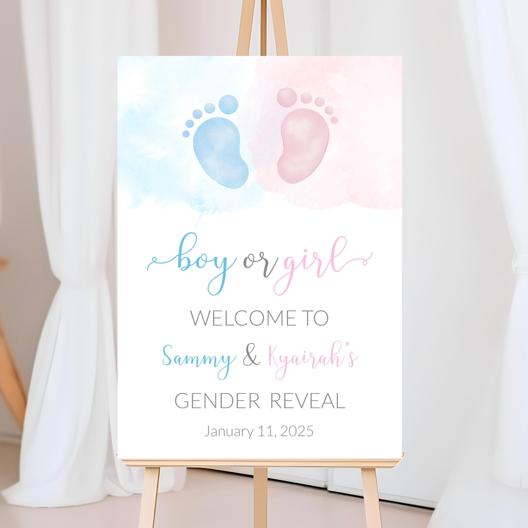Pink & Blue Gender Reveal Decorations - Teddy Bear Banner With Hanging Swirls