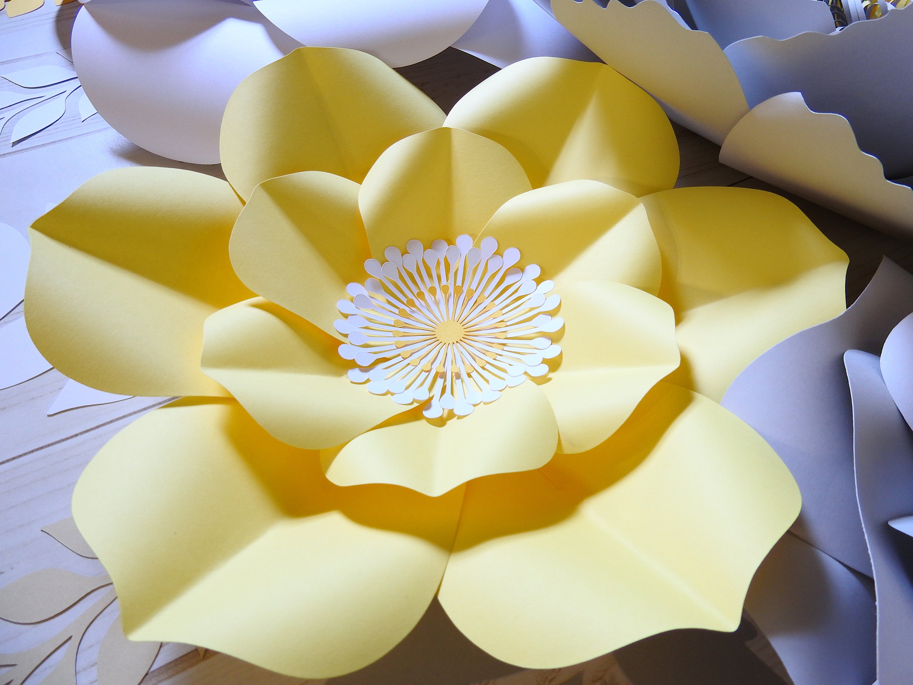 SVG Paper Flower Template DIY paper flowers backdrop Svg Cut Etsy