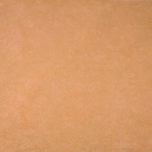 20 Count OPAL Handgefärbter Zweigart Hardanger Aida ~ Kreuzstich Stickerei handgefärbter XStitch Stoff No 204