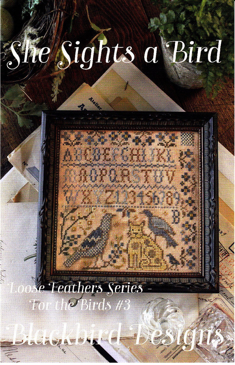 Blackbird Designs ~ She Sights a Bird ~ Counted Cross Stitch Pat Blackbird Designs ~ She Sights a Bird ~ Counted Cross Stitch Pat