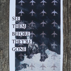 See Them Before They're Gone Sticker - Etsy