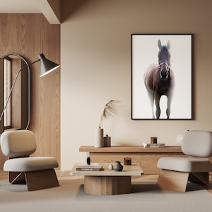 Equestrian Print, White Horse Photo, Minimal Horse Print, Modern Farm Photo, Kentucky Photography, Neutral Equine Photo, Southwest decor