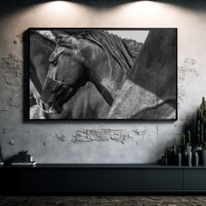 Black and White Horse Photo, Equestrian print, Western decor, BW horse print, Southwest Decor, Kentucky Gift