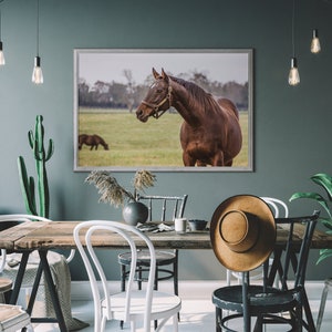 Equestrian photo, Equestrian art, Horse photo, Farmhouse wall decor, Southwest decor, Southwest print, Western art, Kentucky gift