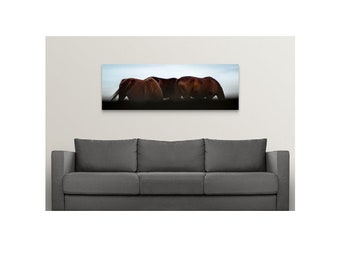 Horse Photo, fine art Horse photography, Equestrian Gift, Farm Photo, Western Photo, Equine Photo, Farmhouse Decor, Horse gift, Southwest
