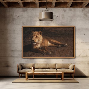 Löwin Leinwanddruck, Große Leinwand Druck, Löwe Foto, Löwin Fotografie