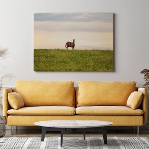 Horse Photo, Southwestern Decor, Kentucky horse wall art, Horse in a field Photo, Sunset Horse Photo, Horse landscape, Equestrian Photo,