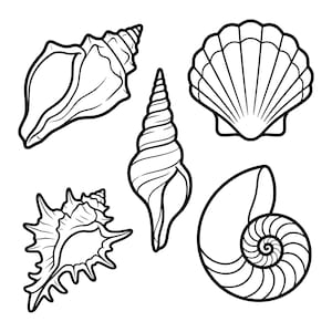 May include: A collection of five distinct seashells rendered in a black and white line art style. The set includes a spiral conch, a fan-shaped scallop, a tall auger shell, a spiky murex shell, and a coiled nautilus shell with clear outlines.