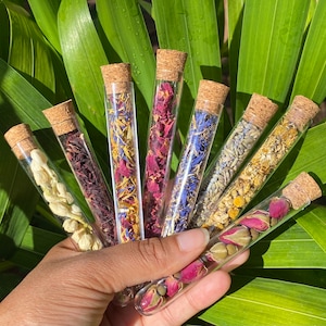 Assorted Dried Herb and Flower Vials
