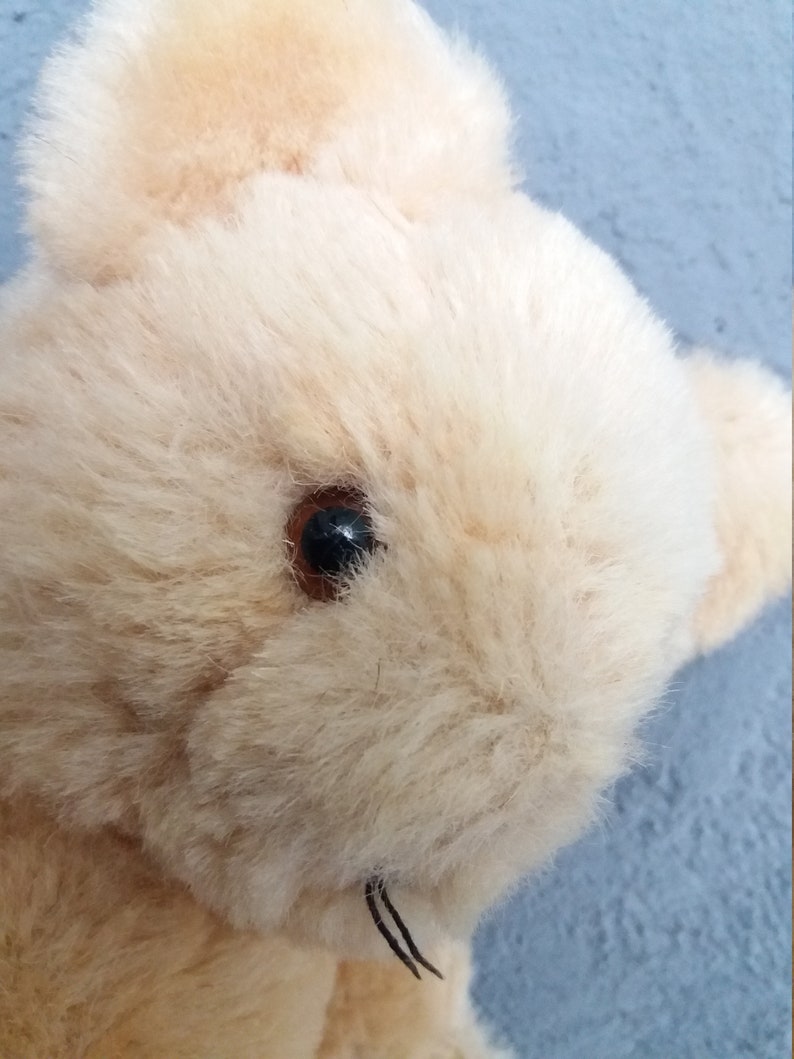 Small Vintage Teddy Bear Yellowish Straw Stuffed Glass Eyes - Etsy