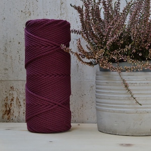 Può includere: Un rotolo di corda di cotone di colore bordeaux scuro, accanto a una pianta in vaso con fiori rosa e foglie verdi. La pianta è in un vaso di cemento bianco.